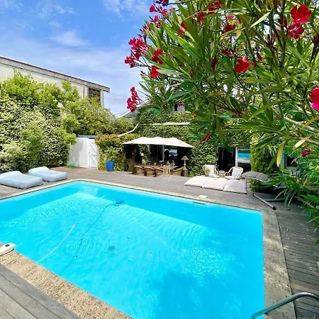 Magnificent Swimming Pool Cap Ferret *